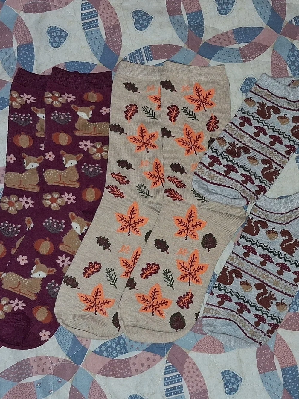🍁🍂🧦Ladies Autumn Sock Bundle ~ 3 Pairs🧦🍂🍁